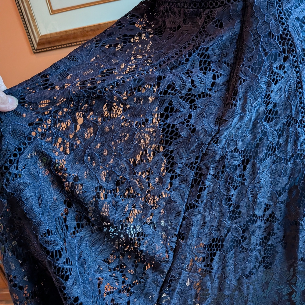 NEW Navy Taylor Lace Dress Size 4 - Picture 6 of 15